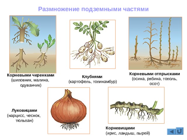 Как зайти на маркетплейс кракен