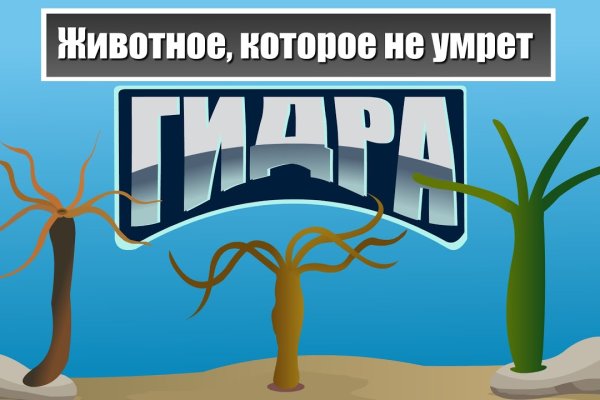 Kraken это что такое